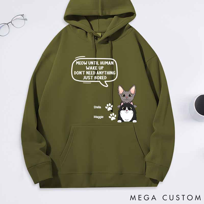 Personalized Cat Lover Until Human Wake Up Classic Hoodies