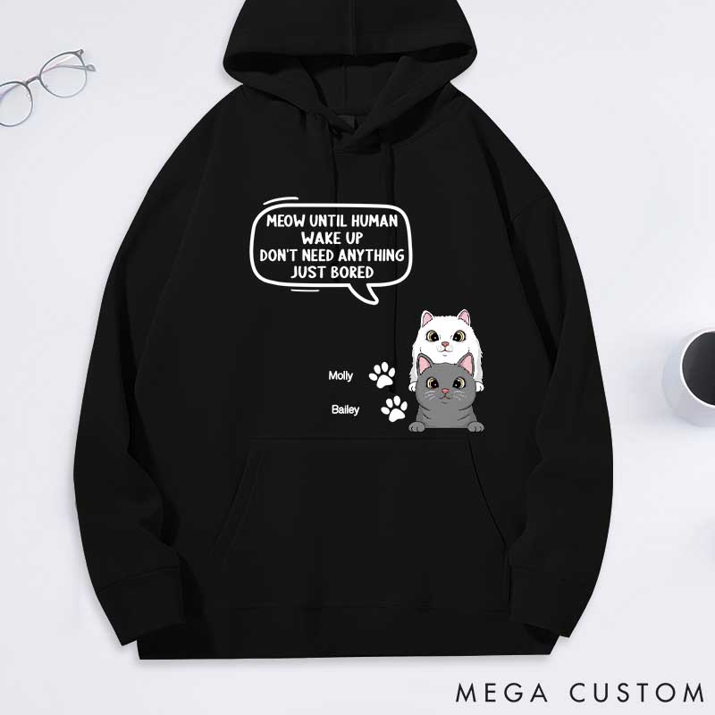 Personalized Cat Lover Until Human Wake Up Classic Hoodies