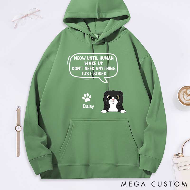 Personalized Cat Lover Until Human Wake Up Classic Hoodies