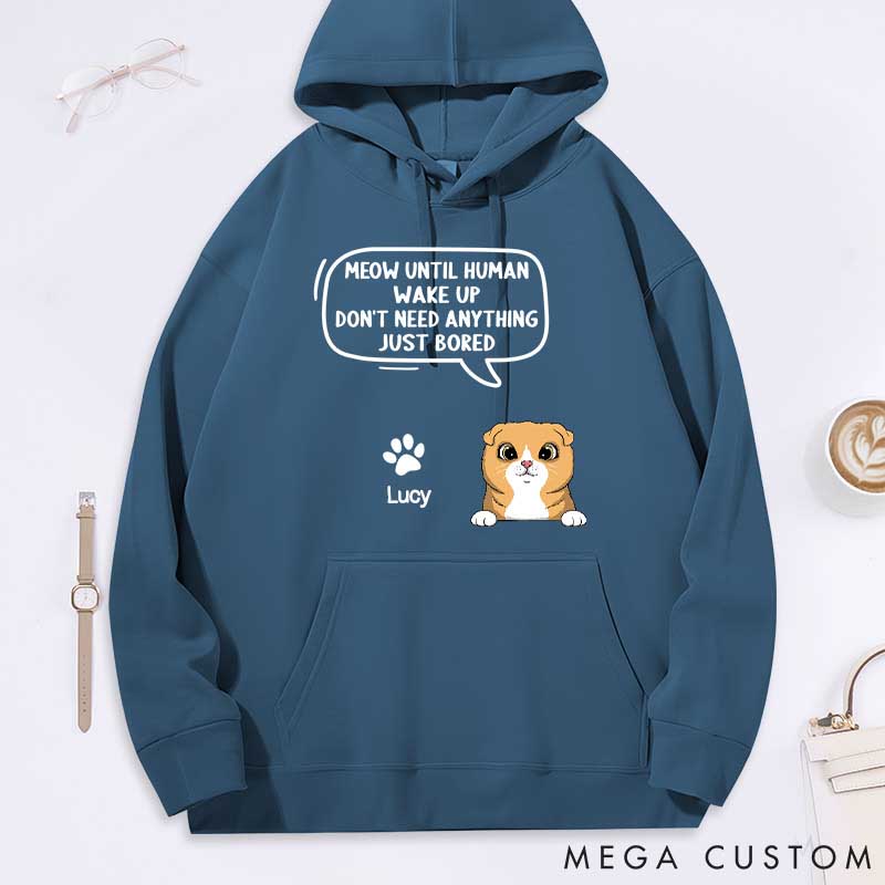 Personalized Cat Lover Until Human Wake Up Classic Hoodies
