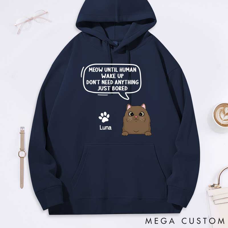 Personalized Cat Lover Until Human Wake Up Classic Hoodies