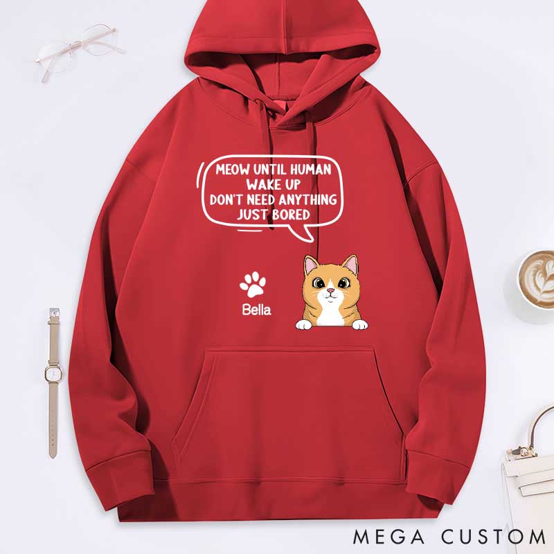 Personalized Cat Lover Until Human Wake Up Classic Hoodies