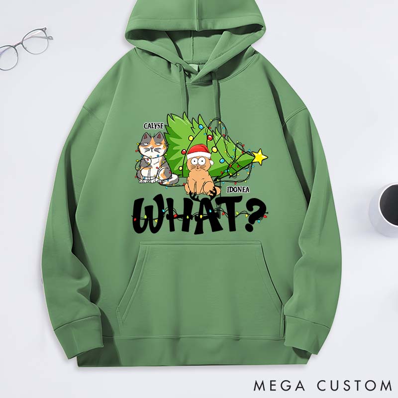 Personalized Cat Lover What Classic Hoodies