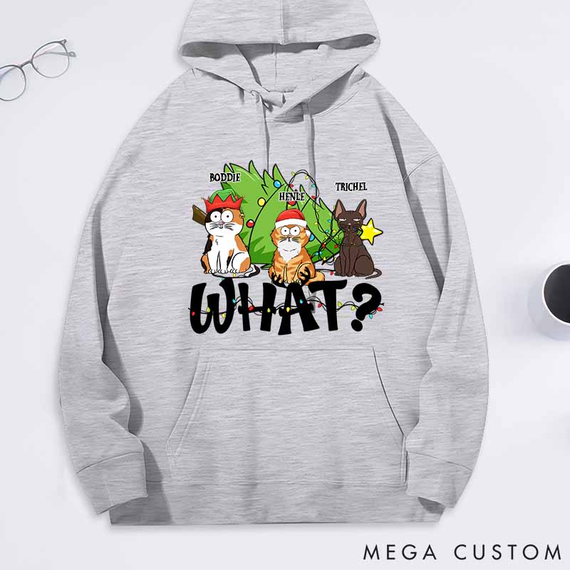 Personalized Cat Lover What Classic Hoodies