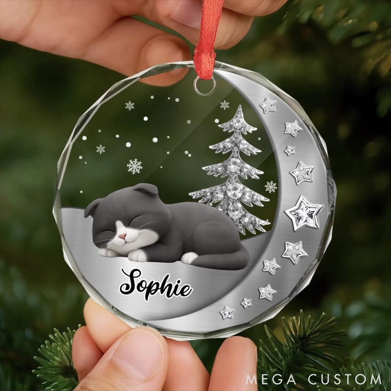 Personalized Cat Lover Woofs Wrapped in Wonder Christmas Ornament