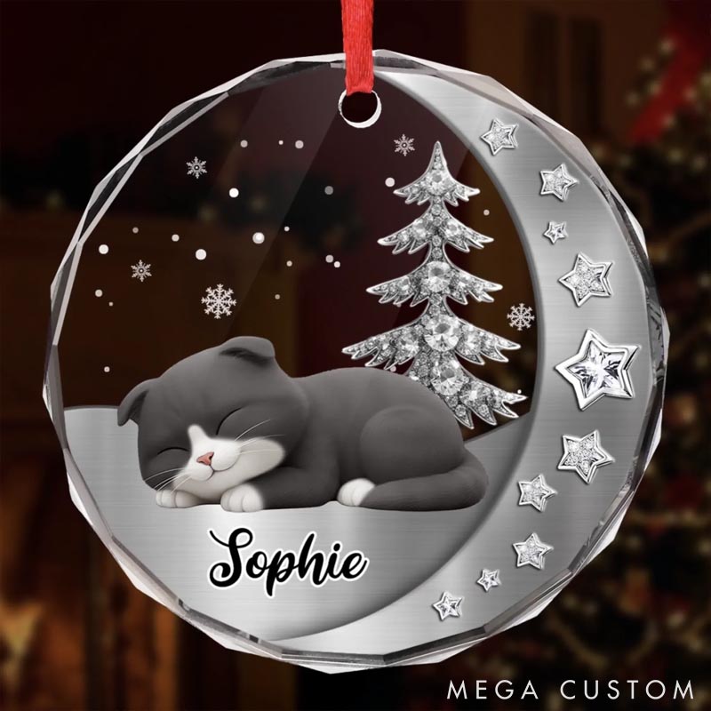 Personalized Cat Lover Woofs Wrapped in Wonder Christmas Ornament