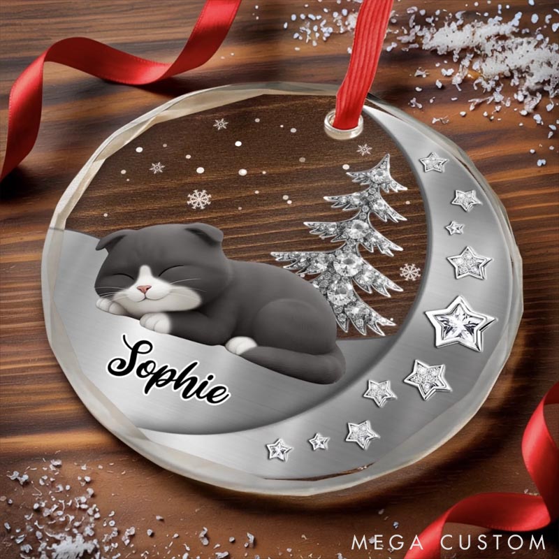 Personalized Cat Lover Woofs Wrapped in Wonder Christmas Ornament