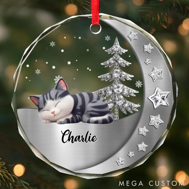 Personalized Cat Lover Woofs Wrapped in Wonder Christmas Ornament