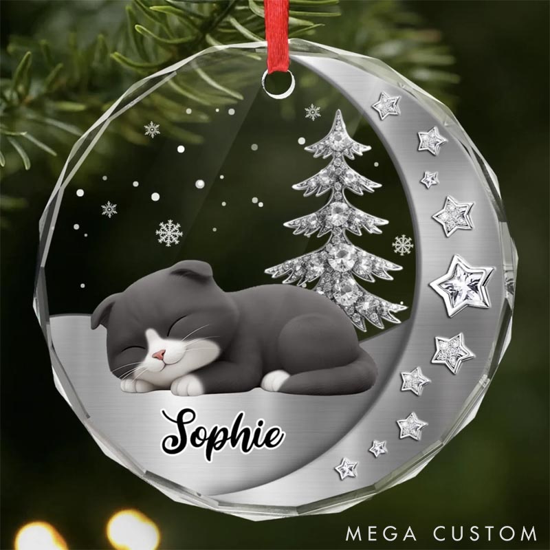 Personalized Cat Lover Woofs Wrapped in Wonder Christmas Ornament