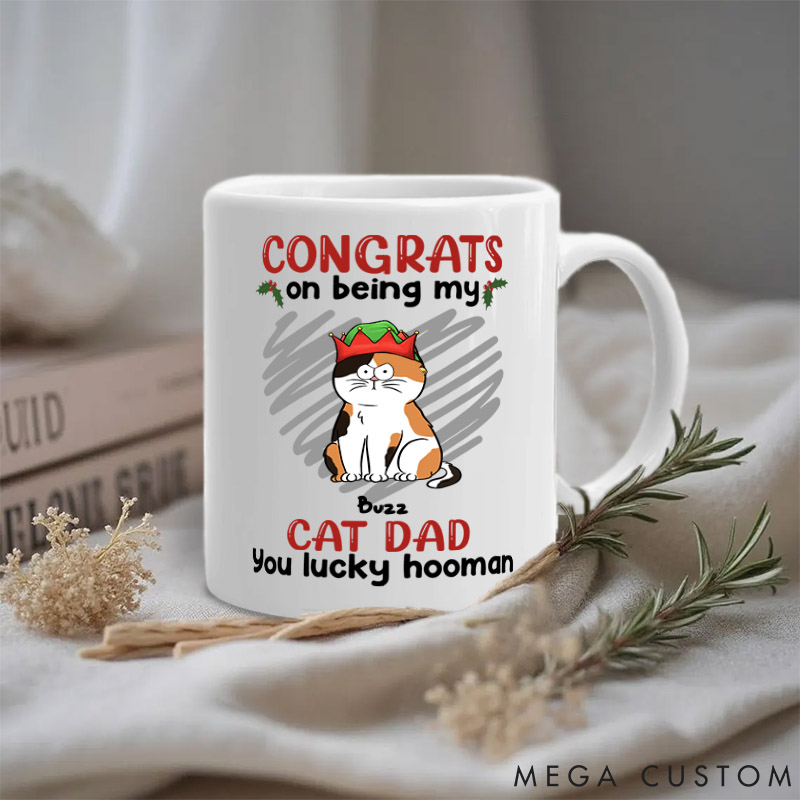 Personalized Cat Lover You Lucky Hooman Dad Mugs
