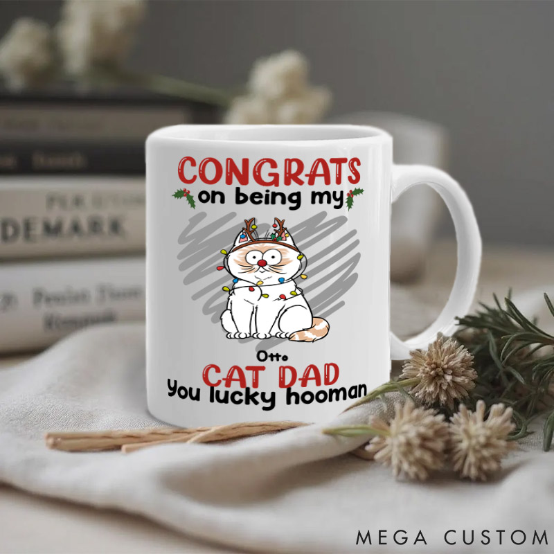 Personalized Cat Lover You Lucky Hooman Dad Mugs