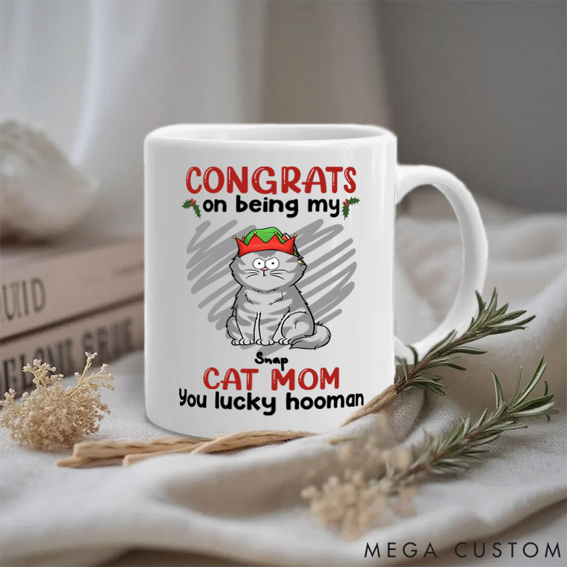 Personalized Cat Lover You Lucky Hooman Mom Mugs