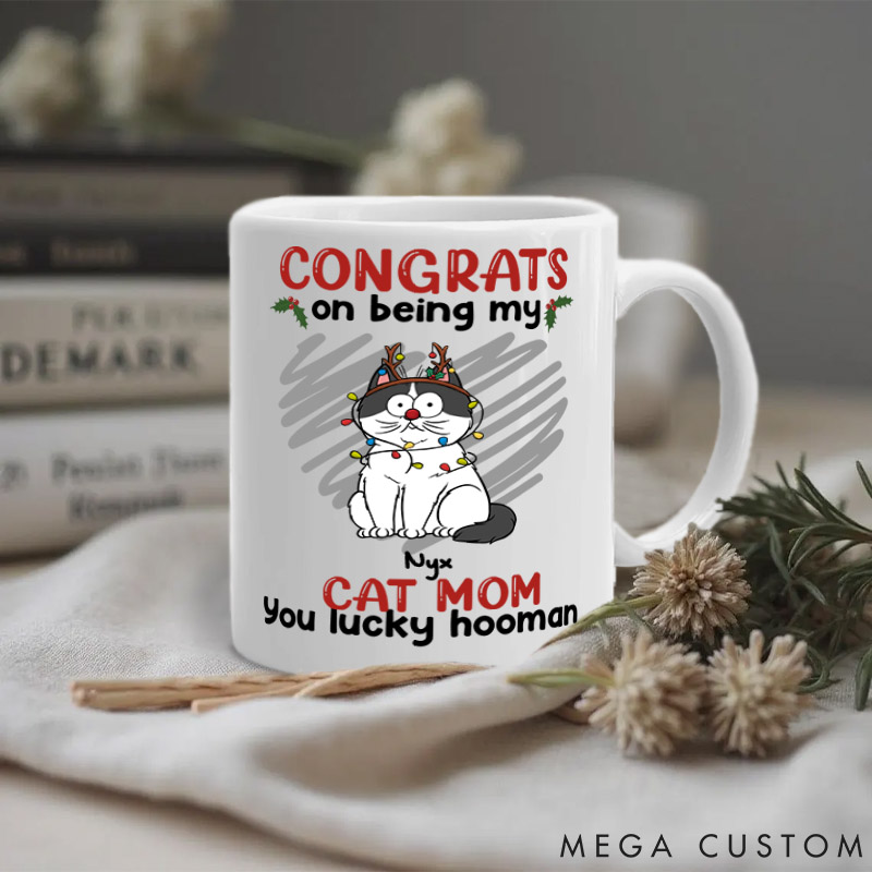 Personalized Cat Lover You Lucky Hooman Mom Mugs