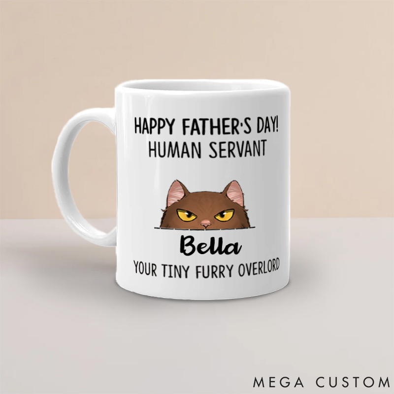 Personalized Cat Lover Your Tiny Furry Overlord Happy Father's day Mugs