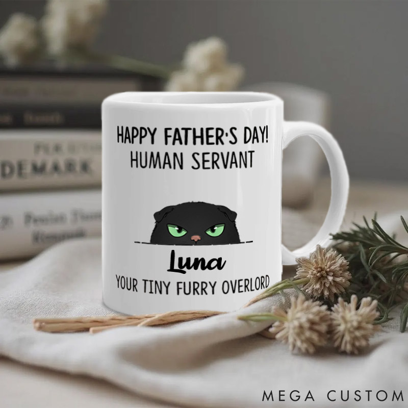 Personalized Cat Lover Your Tiny Furry Overlord Happy Father's day Mugs