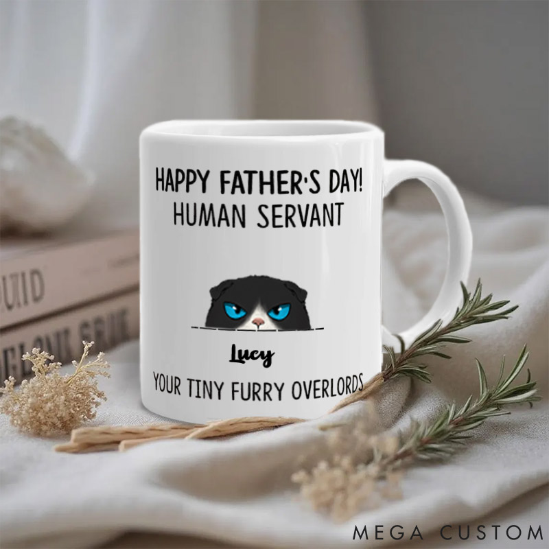 Personalized Cat Lover Your Tiny Furry Overlord Happy Father's day Mugs