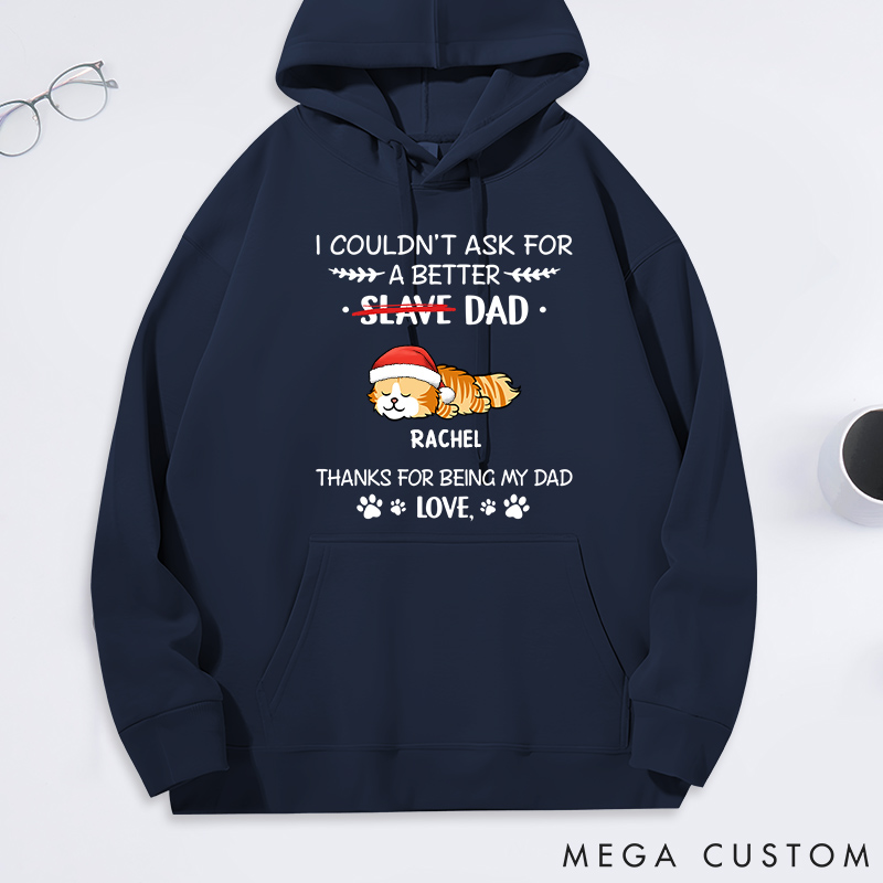 Personalized Cat Lover could Not Ask for more Cat Dad Classic Hoodies