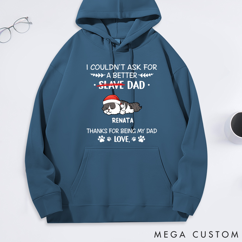 Personalized Cat Lover could Not Ask for more Cat Dad Classic Hoodies