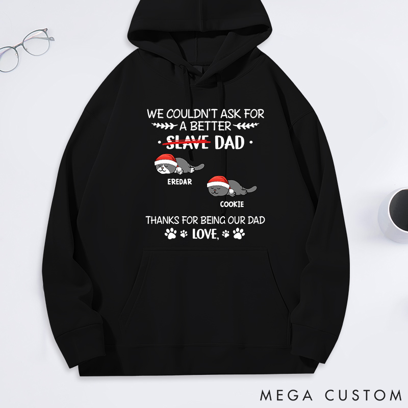 Personalized Cat Lover could Not Ask for more Cat Dad Classic Hoodies
