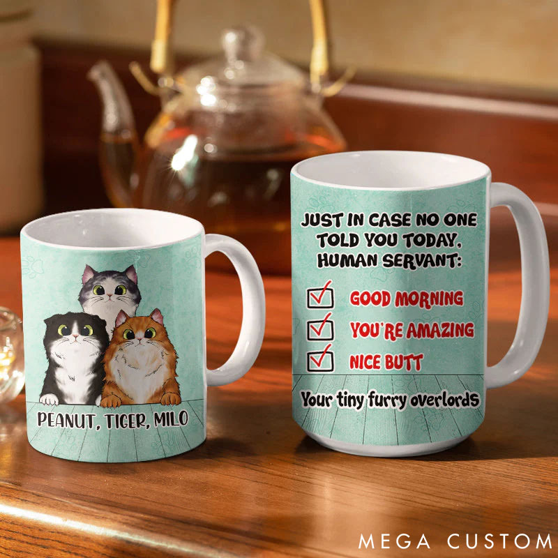 Personalized Cat Lover in Case No One Told You Mugs
