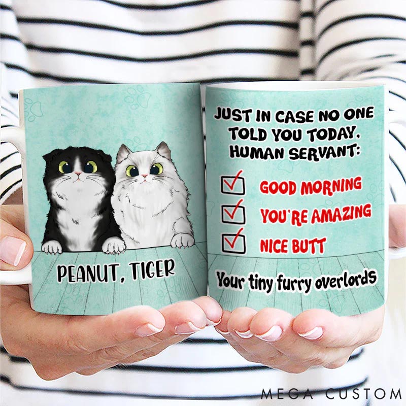 Personalized Cat Lover in Case No One Told You Mugs