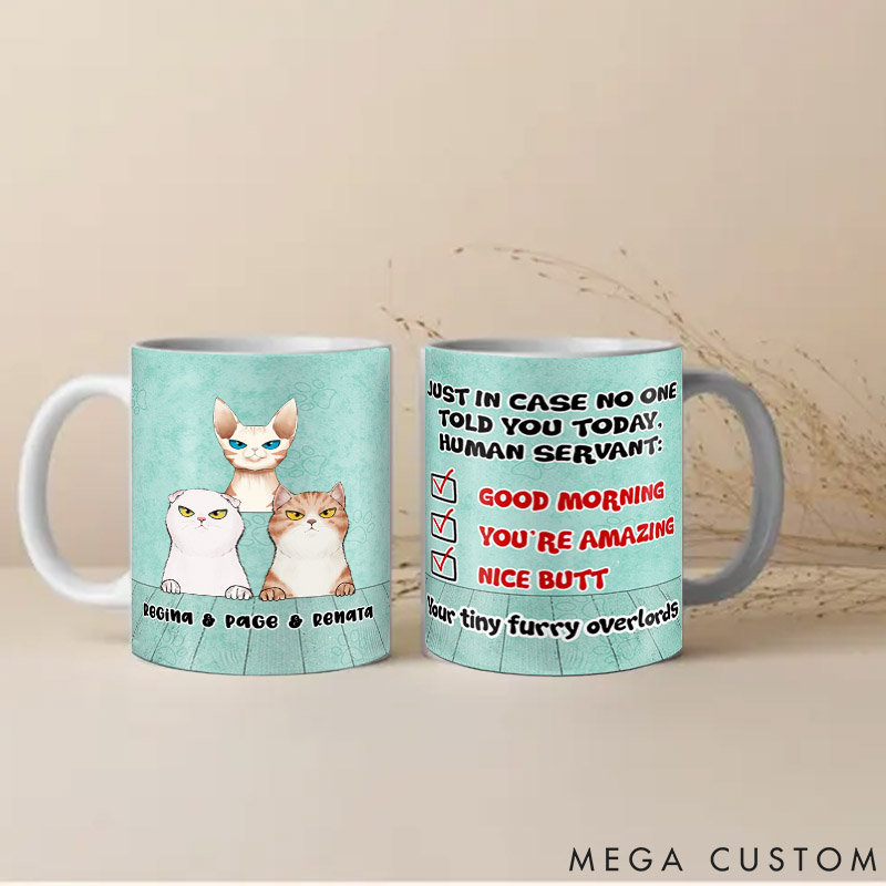 Personalized Cat Lover in Case No One Told You Mugs