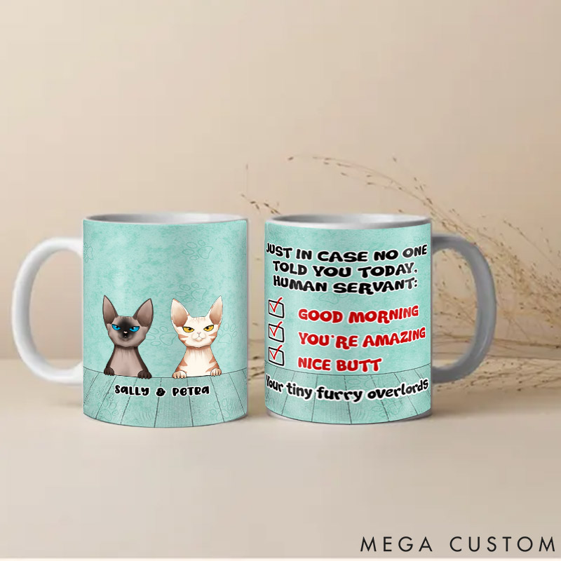 Personalized Cat Lover in Case No One Told You Mugs