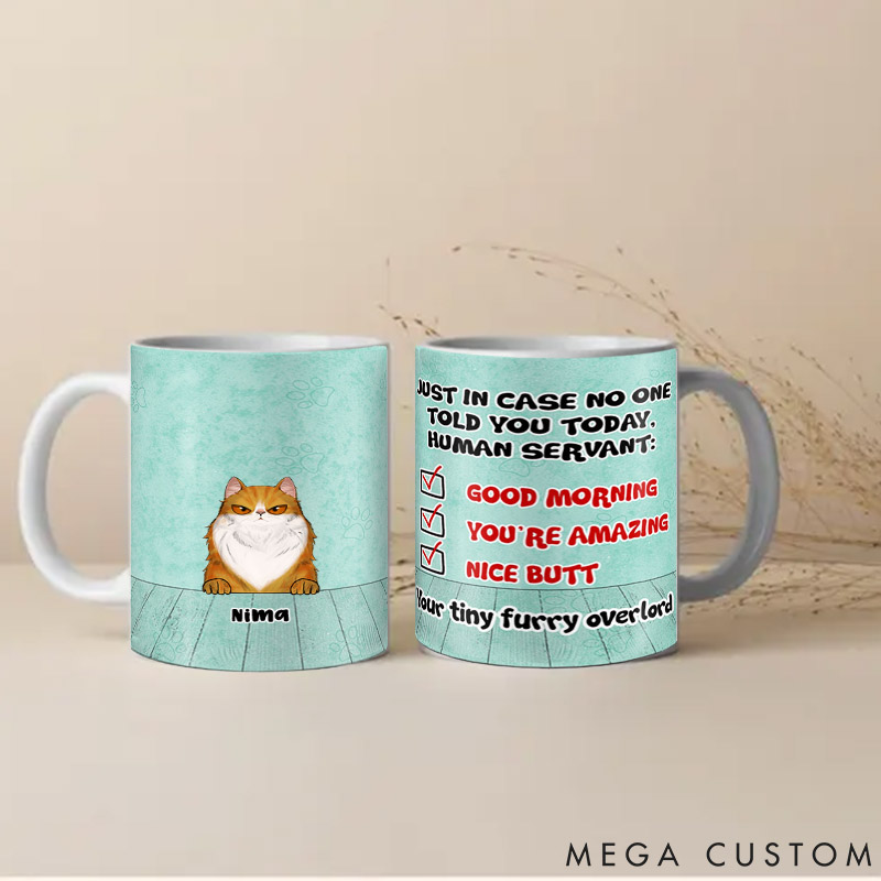 Personalized Cat Lover in Case No One Told You Mugs
