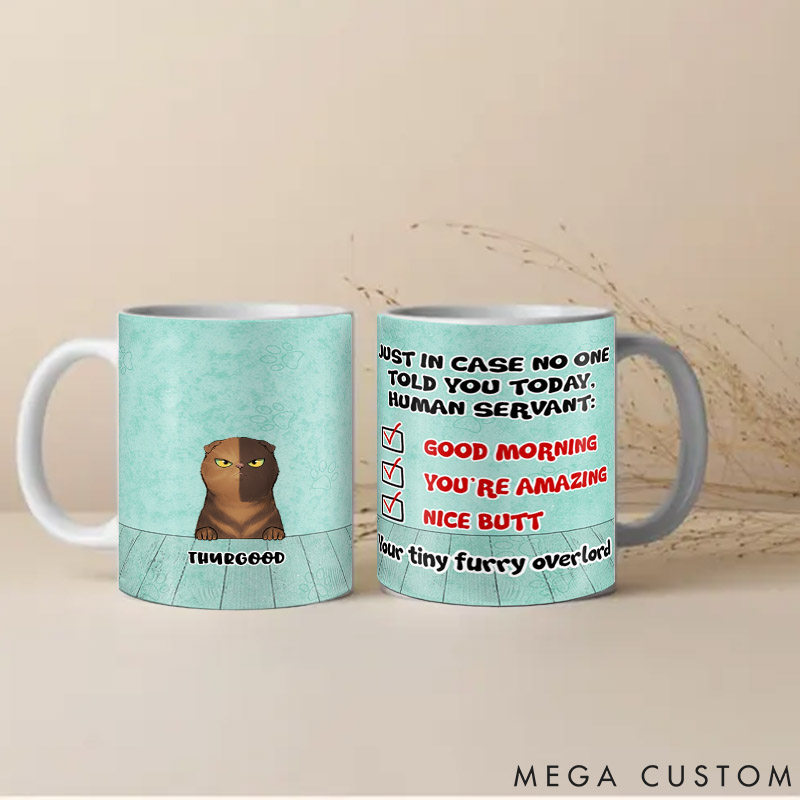 Personalized Cat Lover in Case No One Told You Mugs