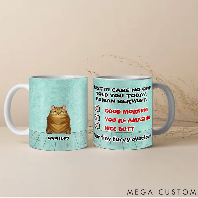 Personalized Cat Lover in Case No One Told You Mugs