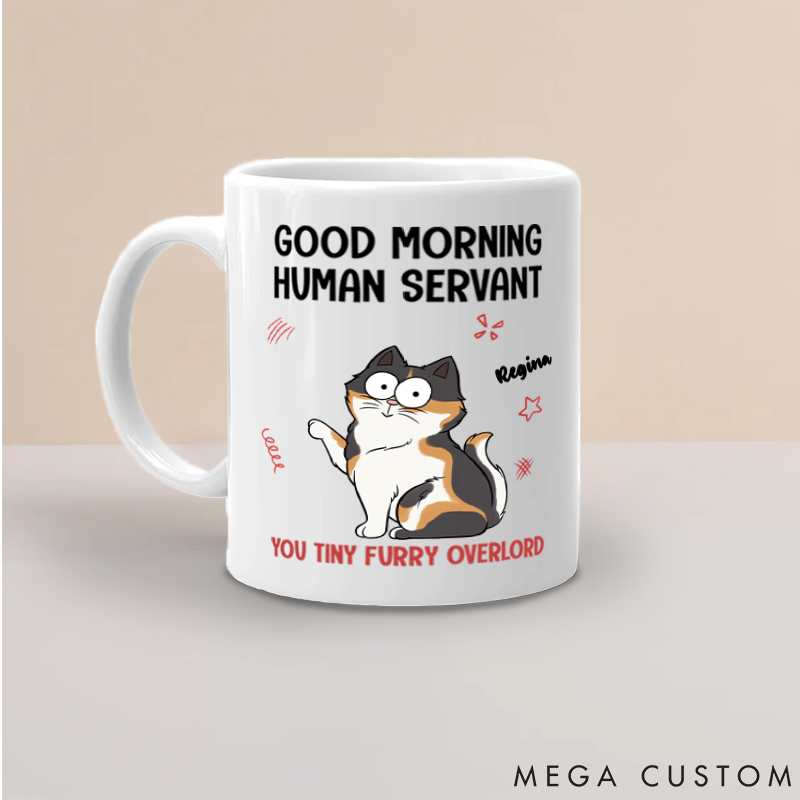 Personalized Cat Lover in My Head I Have Slapped You 3 Times Mugs