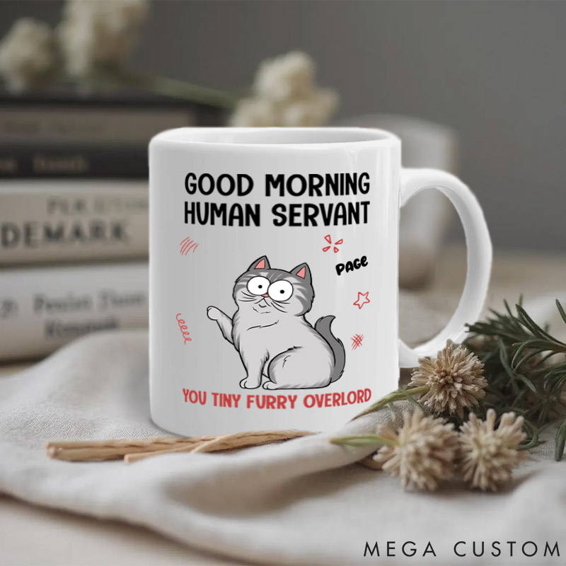 Personalized Cat Lover in My Head I Have Slapped You 3 Times Mugs