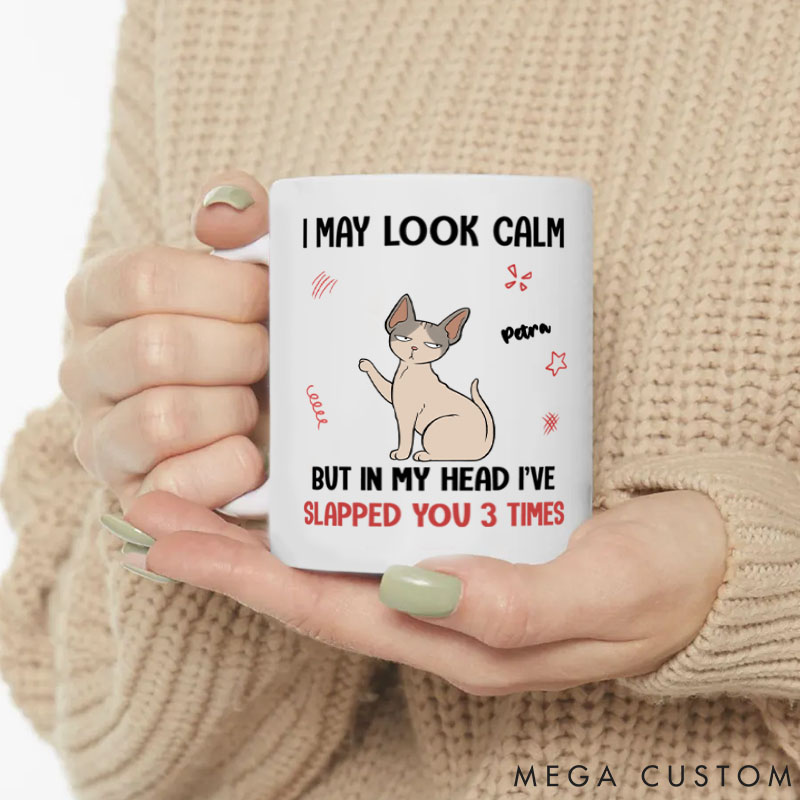 Personalized Cat Lover in My Head I Have Slapped You 3 Times Mugs