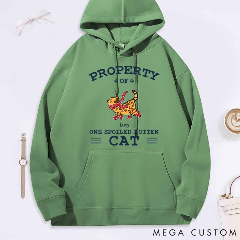 Personalized Cat Lover the Spoiled Rotten Cats Classic Hoodies