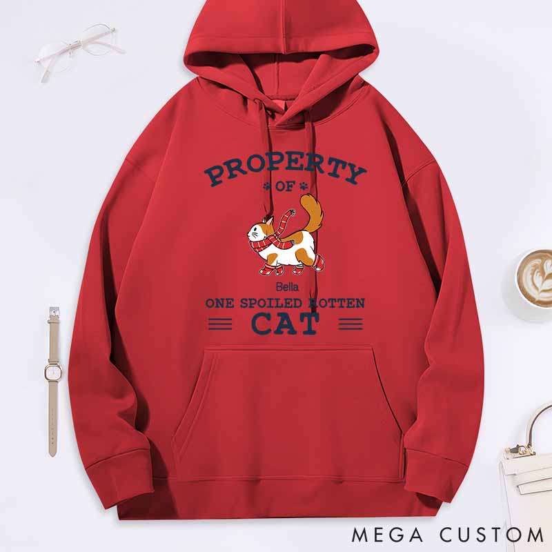 Personalized Cat Lover the Spoiled Rotten Cats Classic Hoodies