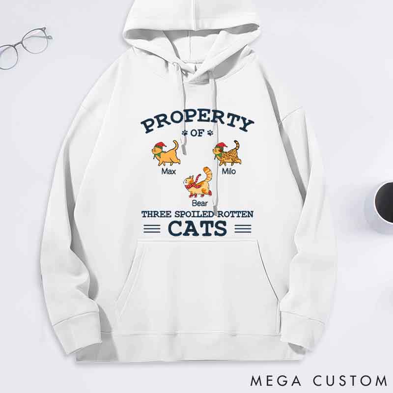 Personalized Cat Lover the Spoiled Rotten Cats Classic Hoodies