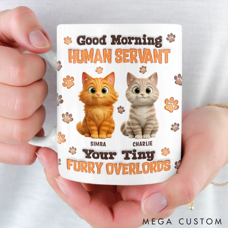 Personalized Cats Make Everything Softer Mug Gifts for Pet Lover for Cat Lover