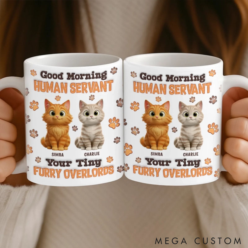 Personalized Cats Make Everything Softer Mug Gifts for Pet Lover for Cat Lover