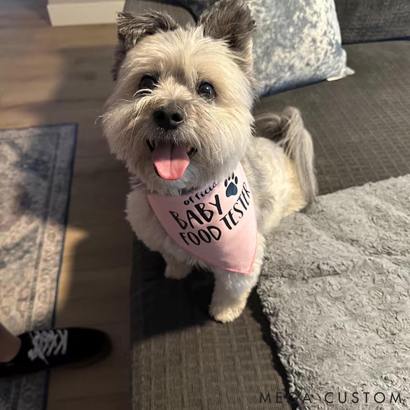 Personalized Dog Lover Baby Food Tester Bandana