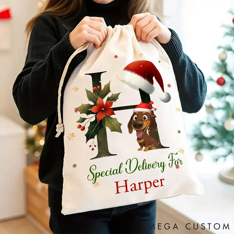Personalized Dog Lover Bell Santa Hat Initial Drawstring Canvas Gift Bag with Name Christmas Party Gift Christmas Sack