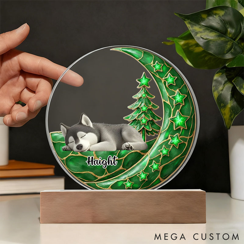 Personalized Dog Lover Beside You Dog Light