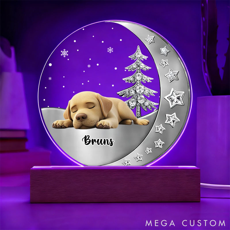 Personalized Dog Lover Beside You Dog Light