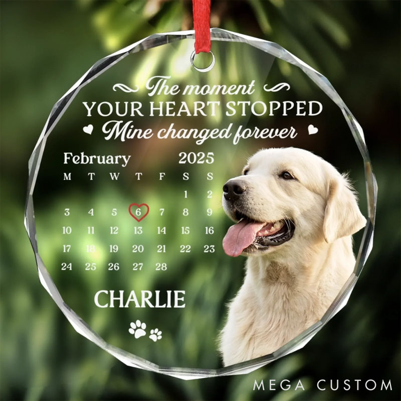 Personalized Dog Lover Cherished Paws Forever in our Hearts Christmas Ornament