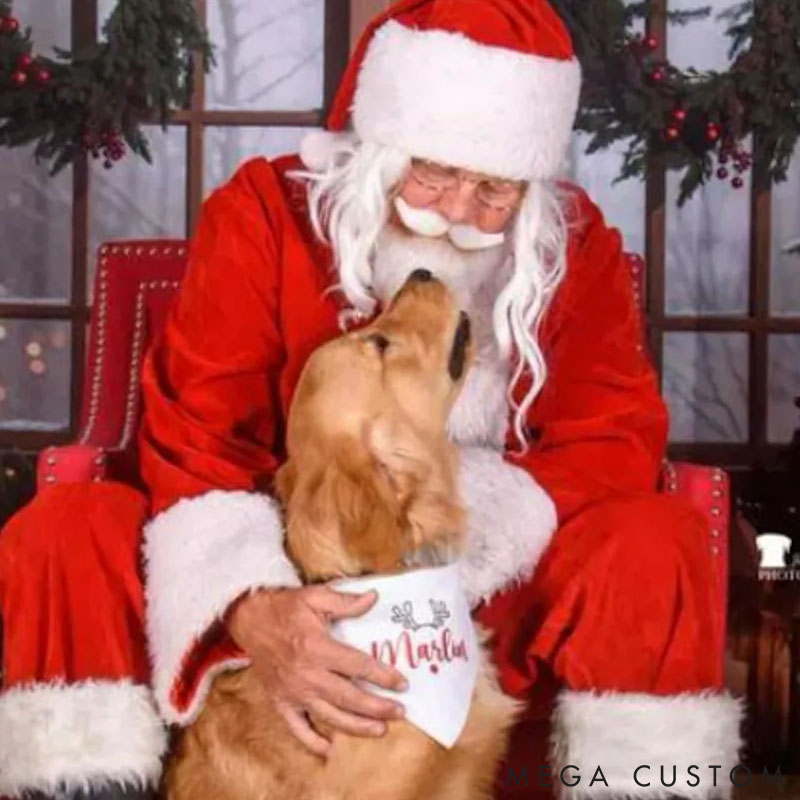 Personalized Dog Lover Christmas Antlers Bandana