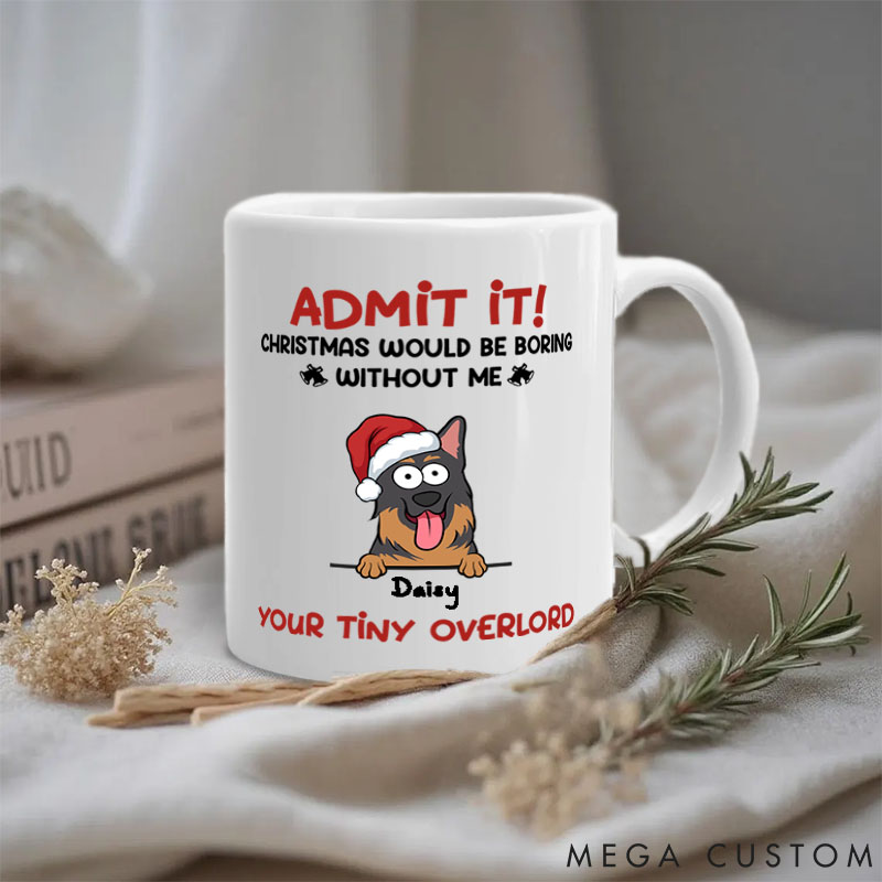 Personalized Dog Lover Christmas Is Boring without Me Mugs