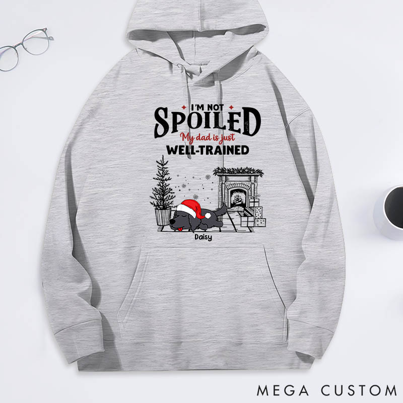 Personalized Dog Lover Dog Dad Spoiled but Cute Dog Classic Hoodies