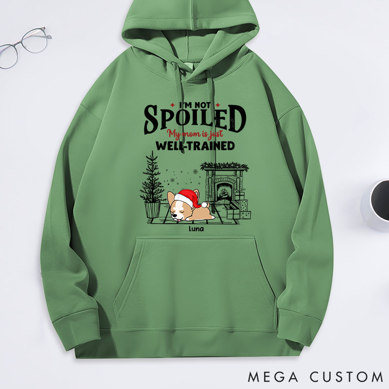 Personalized Dog Lover Dog Mom Spoiled but Cute Dog Classic Hoodies