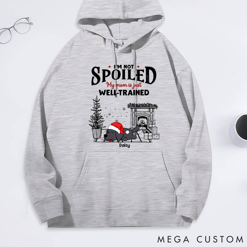Personalized Dog Lover Dog Mom Spoiled but Cute Dog Classic Hoodies
