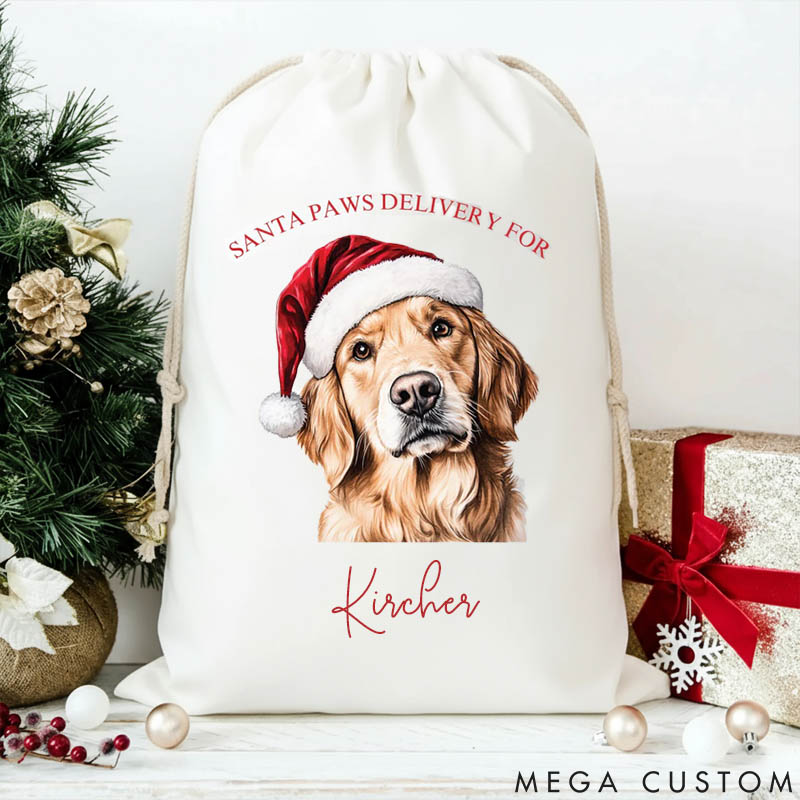 Personalized Dog Lover Dog Photo Christmas Sack