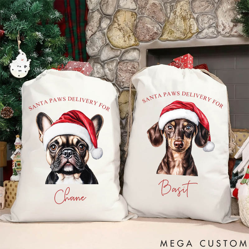 Personalized Dog Lover Dog Photo Christmas Sack